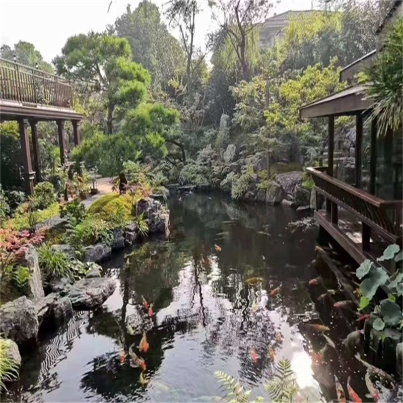 凤山假山植物小鱼池
